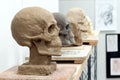 Clay scull in a sculpting studio Royalty Free Stock Photo
