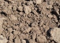 Clay soil - close-up