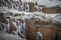 Clay soldiers of the Terracota Army