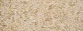 Clay and straw adobe mud texture background. Eco-friendly building material Royalty Free Stock Photo