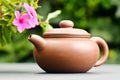 Clay tea pot Royalty Free Stock Photo