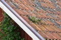 Clay tiles on roof top neding maintenance