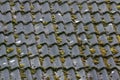 Black clay tiles with moss on roof top neding maintenance