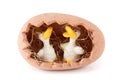 Clay toys. Two duck in nest in form of eggs Royalty Free Stock Photo
