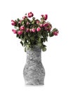 Clay vase with dried flowers on a white background Royalty Free Stock Photo