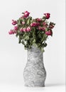 Clay vase with dried flowers on a white background Royalty Free Stock Photo