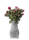 Clay vase with dry flowers on a white background Royalty Free Stock Photo