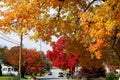 Stunning view of the colorful fall foliage near Claymont, Delaware, U.S.