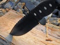 Claymore blade in wood