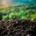 Clean air advocate Tree planting symbolizes the fight against CO2 emissions