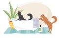 Clean animals vector illustration with cute cat washing in bath