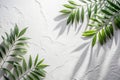 Leaves natural shadow overlay on white texture background, for overlay on product presentation, backdrop and mockup, summer Royalty Free Stock Photo