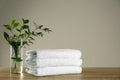 Clean bath towels and vase with green plants on table. Space for text Royalty Free Stock Photo