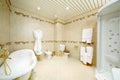 Clean bathroom with bath, shower cabin, toilet and bidet Royalty Free Stock Photo