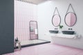 Clean bathroom interior with two mirrors, decorative plant, shower and other items. Lifestyle, hotel and design concept. 3D
