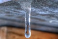 Clean beautiful icicle with water drop