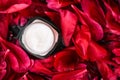 Sensitive skincare moisturizer cream on red flower petals and water background, natural science for skin Royalty Free Stock Photo