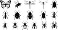 Collection of Insect Silhouettes on White Background Royalty Free Stock Photo