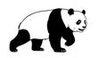 Walking Panda Vector Illustration - Black and White Giant Panda Graphic Royalty Free Stock Photo