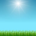 Clean blue sky and green grass vector background Royalty Free Stock Photo