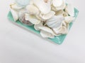 Clean Bright Colorful Elegant Beautiful Artistic Natural Seashells Set for Home Interior and Outdoor Decorative Elements 09