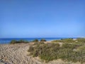 Clean clear beach sand in and beach plants , Muscat, Oman