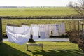 Clean clothes drying in the wind on a washing line on a beautiful sunny day in spring Royalty Free Stock Photo