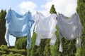 Clean clothes hanging on washing line in garden. Drying laundry Royalty Free Stock Photo