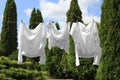 Clean clothes hanging on washing line in garden. Drying laundry Royalty Free Stock Photo