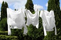 Clean clothes hanging on washing line in garden. Drying laundry Royalty Free Stock Photo