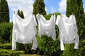 Clean clothes hanging on washing line in garden. Drying laundry Royalty Free Stock Photo