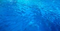 Clean Cool Blue Pool Water. Blue Water Background.