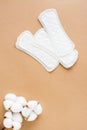 Clean disposable sanitary pads and a branch of cotton on a beige background. Women`s health and comfort concept. Top and vertical Royalty Free Stock Photo