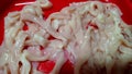 Clean duck entrail internal organ intestine cut for Chinese style hot pot soup ingrediant