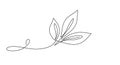 Minimalist Line Art Leaf Design Royalty Free Stock Photo
