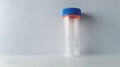 Clean Empty sterile stool sample collection container with blue cap. Medical specimen jar for fecal analysis. Concept of