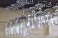 Clean empty wine glasses in row hang on shelf bar in light sunshine Royalty Free Stock Photo
