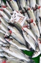 Clean fish are sold fresh at fish market, fresh perch fish, levrek, sold Royalty Free Stock Photo