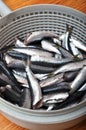 Clean fish are sold fresh at fish market, fresh sardine fish, sardalya, sold Royalty Free Stock Photo