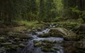 Clean flowing river in the middle of the forest. Royalty Free Stock Photo