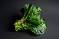 Clean food concept. Bunch of leaves of fresh organic spinach greens on a black background. Healthy detox spring-summer diet. Vegan Royalty Free Stock Photo