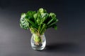 Clean food concept. Bunch of leaves of fresh organic spinach greens in a glass on a black background. Healthy detox spring-summer Royalty Free Stock Photo