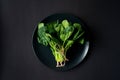 Clean food concept. Bunch of leaves of fresh organic spinach greens in a plate on a black background. Healthy detox spring-summer Royalty Free Stock Photo