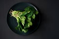 Clean food concept. Bunch of leaves of fresh organic spinach greens in a plate on a black background. Healthy detox spring-summer Royalty Free Stock Photo