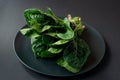 Clean food concept. Bunch of leaves of fresh organic spinach greens in a plate on a black background. Healthy detox spring-summer Royalty Free Stock Photo