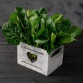 Clean food concept. Leaves of fresh organic spinach greens in a wooden box on a black background. Healthy detox spring-summer diet Royalty Free Stock Photo