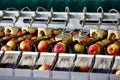 Clean and fresh apples on conveyor belt Royalty Free Stock Photo