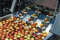 Clean and fresh apples before grating and cutting in food processing facility