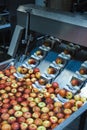 Clean and fresh apples before grating and cutting in food processing facility