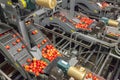 Clean and fresh gala apples on a conveyor belt in a fruit packaging warehouse